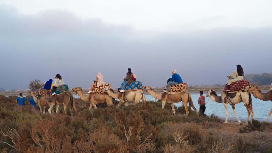 Agadir: Camel Riding Tour with Tea Drink - Booking, refunds, and small practical details