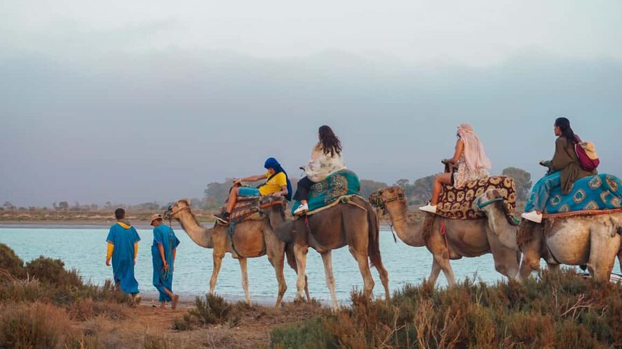 Agadir: Camel Riding Tour with Tea Drink - The route question: open scenery or desert dunes?