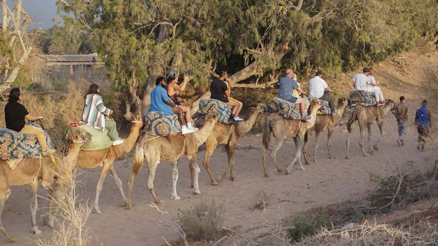 Agadir: Camel Riding Tour with Tea Drink - Mint tea gives the outing a Moroccan finish