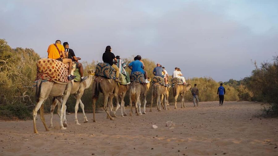 Agadir: Camel Riding Tour with Tea Drink - Adding dinner to the camel ride