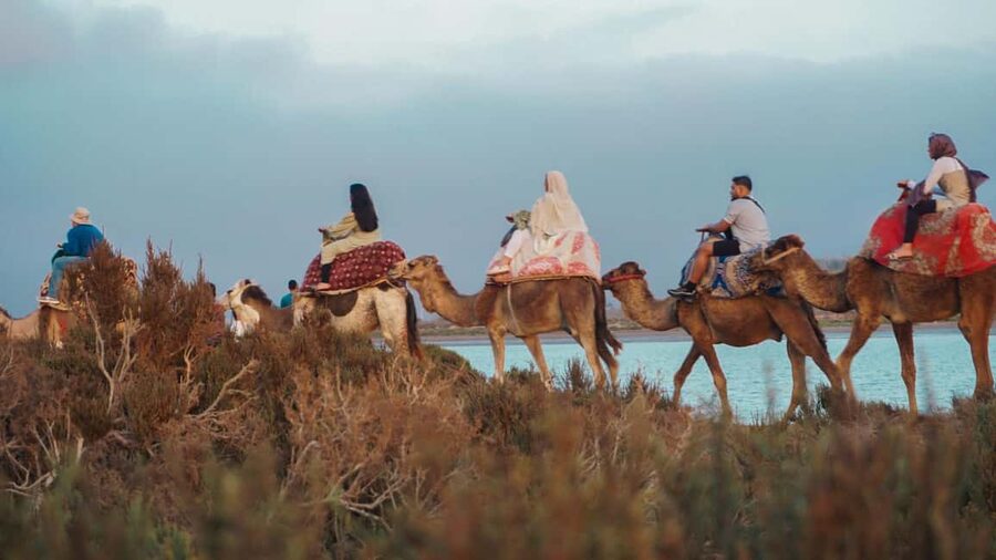 Agadir: Camel Riding Tour with Tea Drink - Is $22 a fair price?