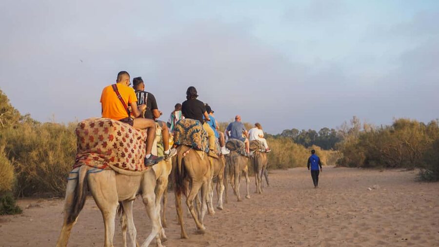 Agadir: Camel Riding Tour with Tea Drink - Who will enjoy this ride most?
