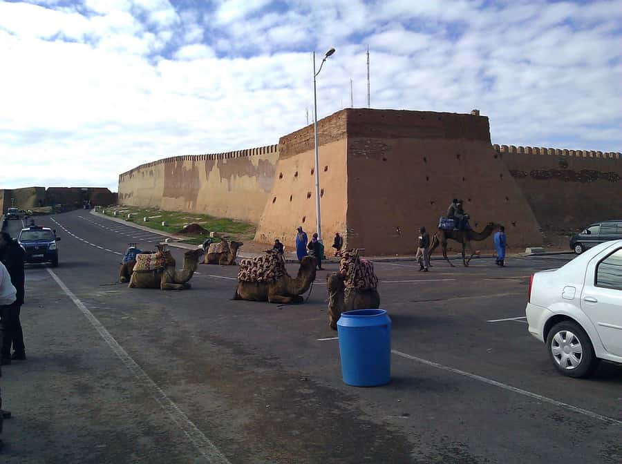 Agadir: City Discovery Tour - Spending an hour in Souk el Had