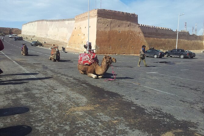 Agadir city tour and souk el had - A small group makes the schedule easier