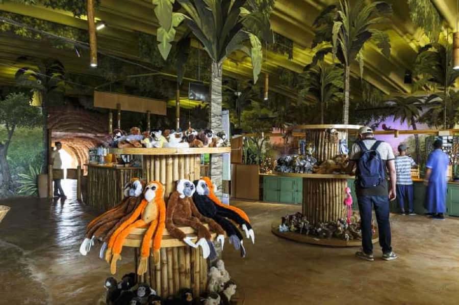 Agadir City Tour & Crocodile Park Adventure & Entry Ticket - Should you book the Agadir City Tour and Crocodile Park Adventure?