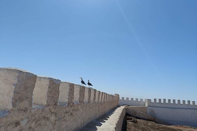 Agadir City Tour whit medina polizzi and Cable car Ride - Passing the Royal Palace Area