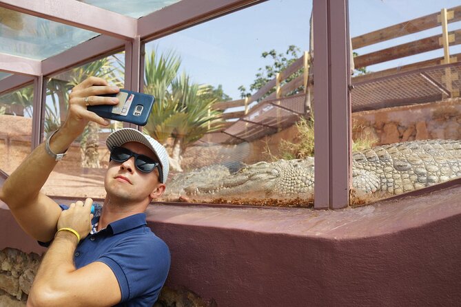 Agadir Crocodile Park Adventure - Timing your visit around park hours