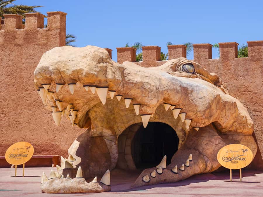 Agadir: Crocoparc Entry Ticket with Transfers, Guide, & Tea - Key points to know before booking