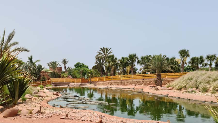 Agadir: Crocoparc Skip-the-Line Entry Ticket - Snakes, iguanas, tortoises, and small mammals