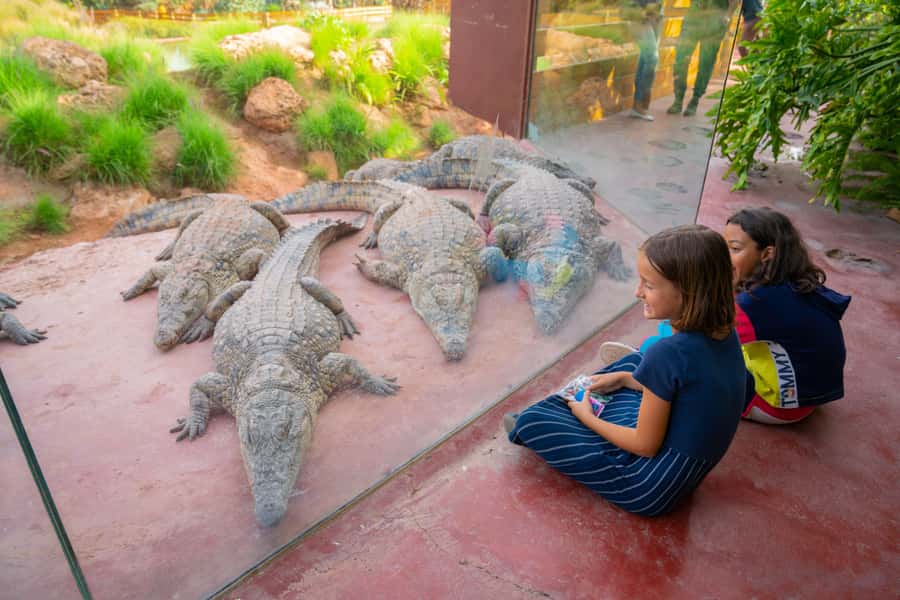 Agadir: Crocoparc Skip-the-Line Entry Ticket - Is the skip-the-line ticket useful?