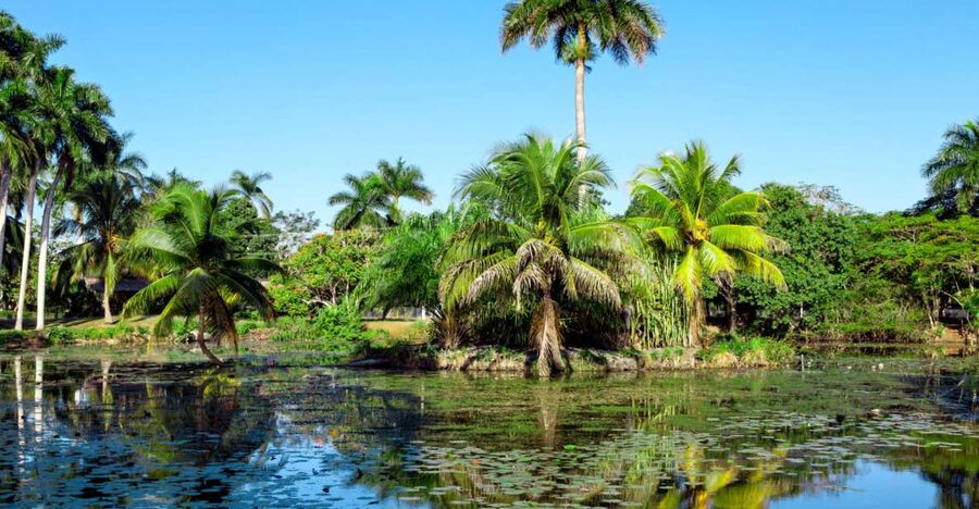 Agadir Crocoparc: Ticket and Transfer - Key Points To Know Before You Go
