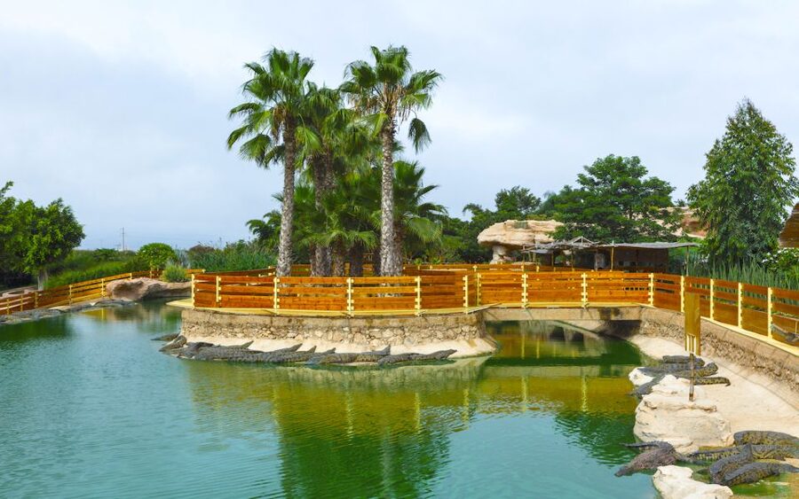 Agadir Crocoparc: Ticket and Transfer - Food, drinks, and taking a break