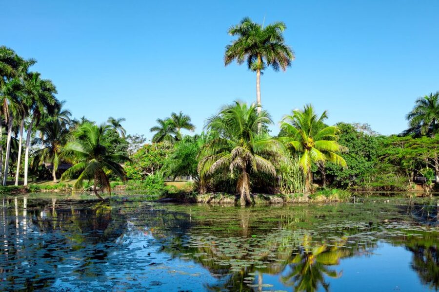 Agadir Crocoparc: Ticket and Transfer - Why Crocoparc Is More Than a Crocodile Enclosure