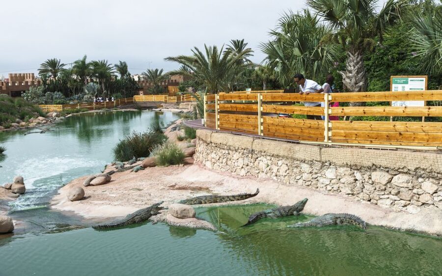 Agadir Crocoparc: Ticket and Transfer - Is two hours enough?