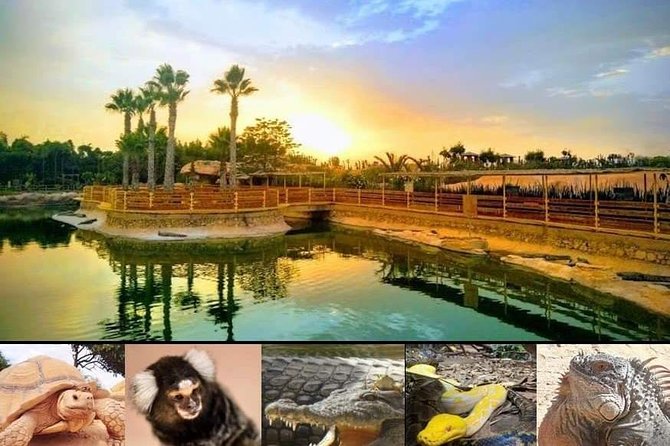 Agadir Crocoparc Transfer & Admission tickets - Cancellation and booking details