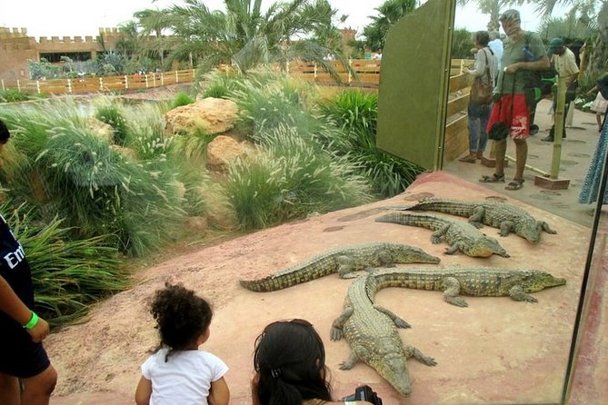 Agadir Crocoparc With Transfer & Admission ticket - A quieter walk through the botanical gardens