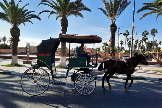 Agadir Day Trip to Taroudant and Tiout Oasis with Lunch - Three hours among Taroudant’s walls and souks