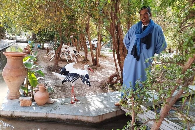 Agadir Day Trip to Taroudant and Tiout Oasis with Lunch - Is $40.65 good value?
