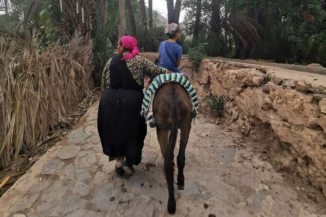 Agadir Day Trip to Taroudant and Tiout Oasis with Lunch - Who will enjoy this Agadir day trip?