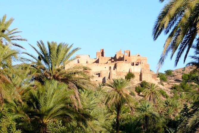 Agadir Day Trip to Taroudant and Tiout Oasis with Lunch - Practical tips for a smoother day