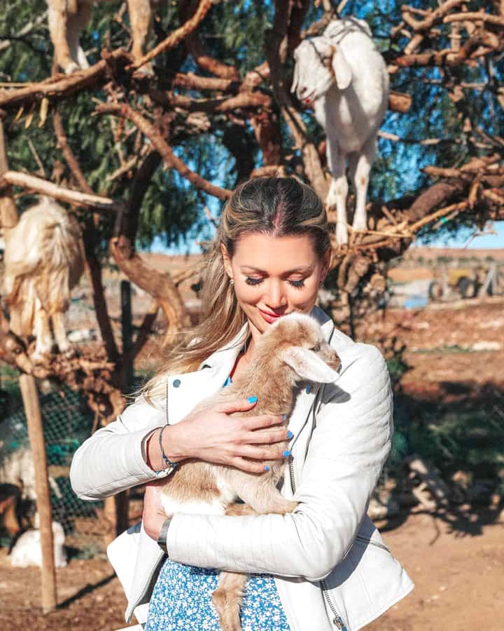 Agadir: Discover Argan Tree-Climbing Goats on a Morning Tour - Key points at a glance
