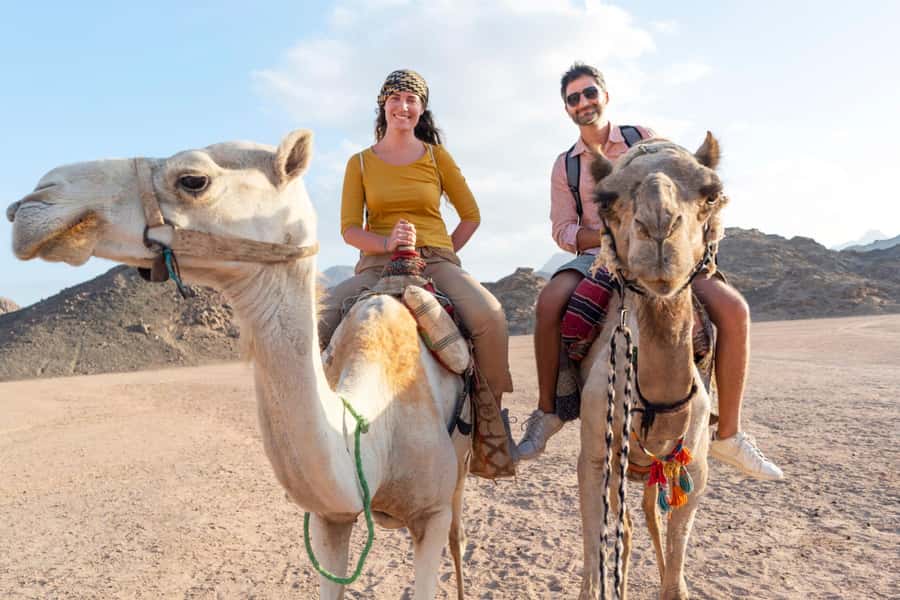 Agadir: Flamingo River Camel Ride with Optional BBQ Dinner - Key points to know before you book