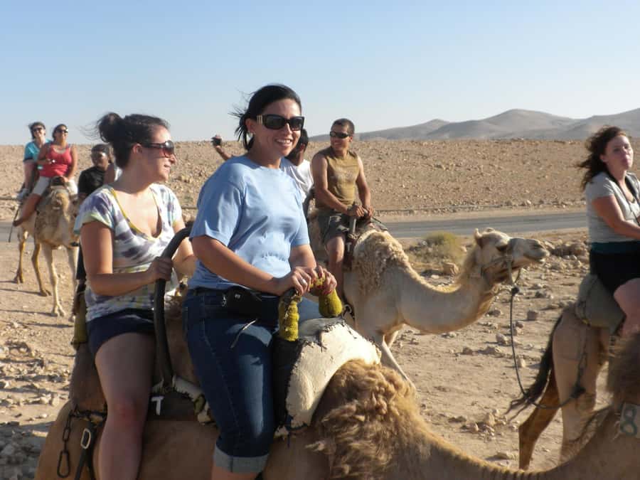 Agadir: Flamingo River Camel Ride with Optional BBQ Dinner - The eucalyptus forest and the Souss River