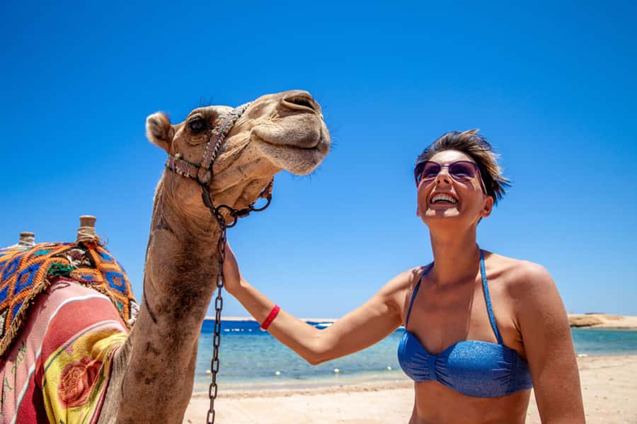 Agadir: Flamingo River Camel Ride with Optional BBQ Dinner - What the guides add, and what they could explain better