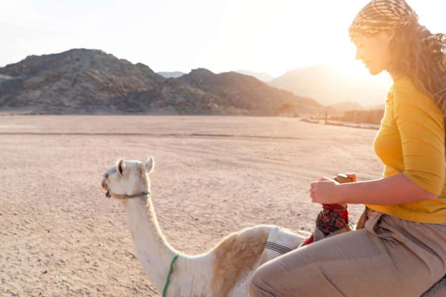 Agadir: Flamingo River Camel Ride with Optional BBQ Dinner - Comfort, timing, and practical expectations