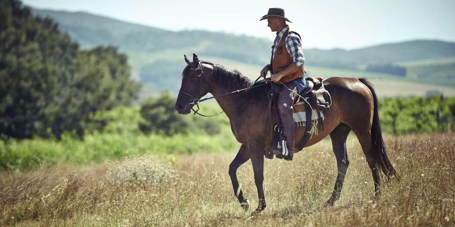 Agadir: Forest and Sand Dunes Guided Horse Riding - Key points to know before you book