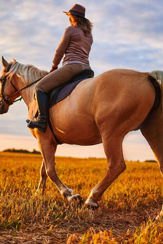 Agadir: Forest and Sand Dunes Guided Horse Riding - How the ride works for first-time riders
