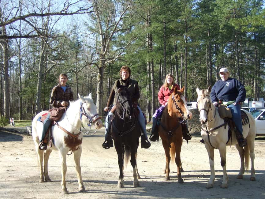 Agadir: Forest and Sand Dunes Guided Horse Riding - Is $23 good value for this Agadir ride?