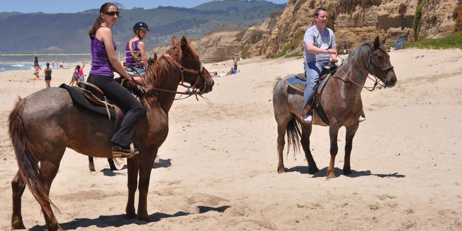 Agadir: Forest and Sand Dunes Guided Horse Riding - Who should book this horse ride?
