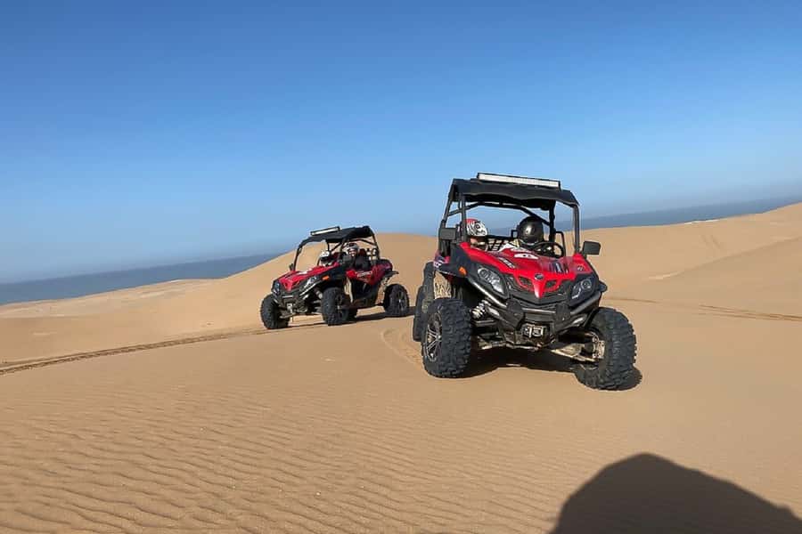 Agadir: Half-Day Desert Dunes Buggy Safari - One and a half hours through forest and sand
