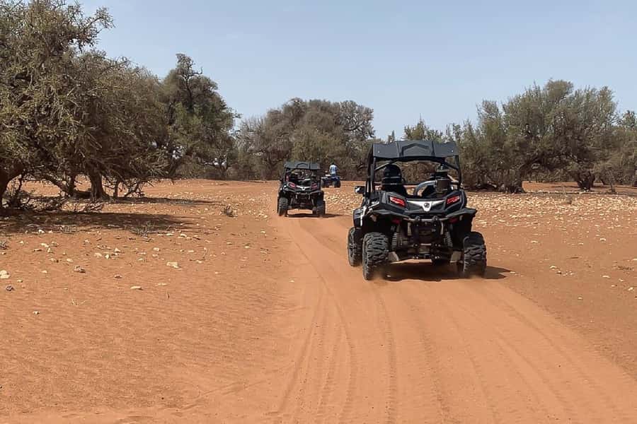 Agadir: Half-Day Desert Dunes Buggy Safari - Should you book the Agadir buggy safari?