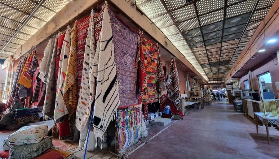 Agadir: Half-Day Guided Tour - Seeing Agadir beyond the resort district