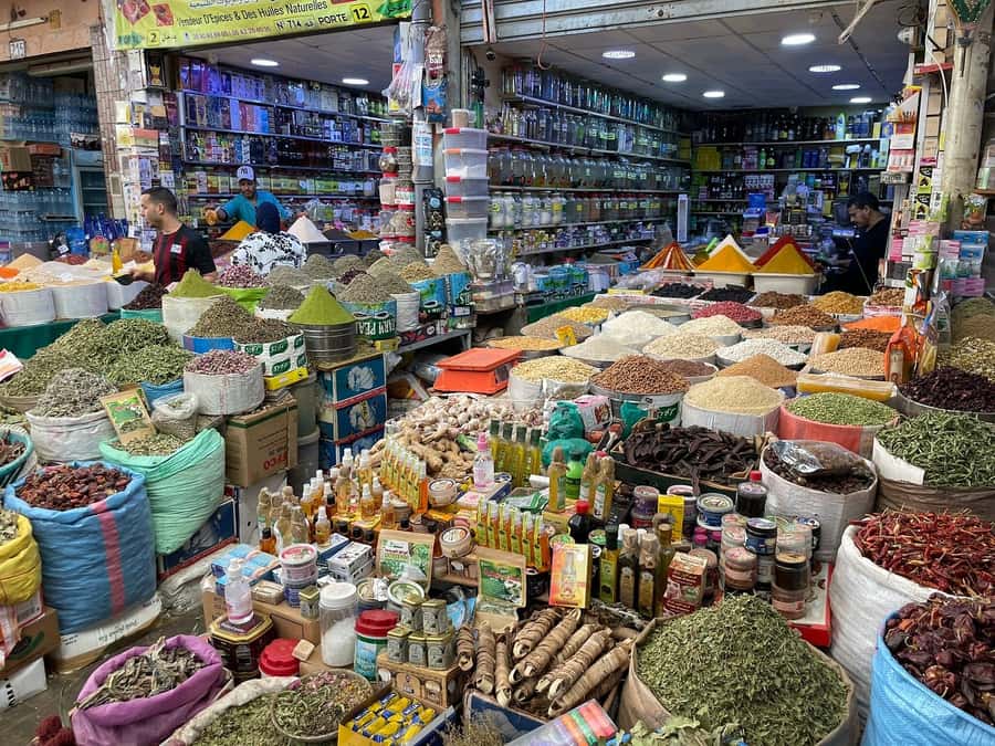 Agadir: Half-Day Guided Tour - Guides, languages, and the feel of the tour