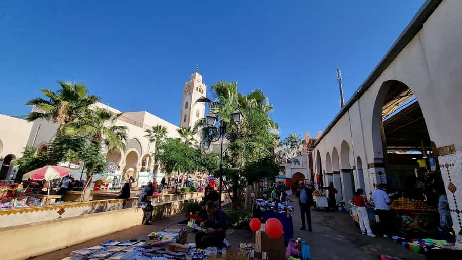 Agadir: Half-Day Guided Tour - Vehicle comfort and timing