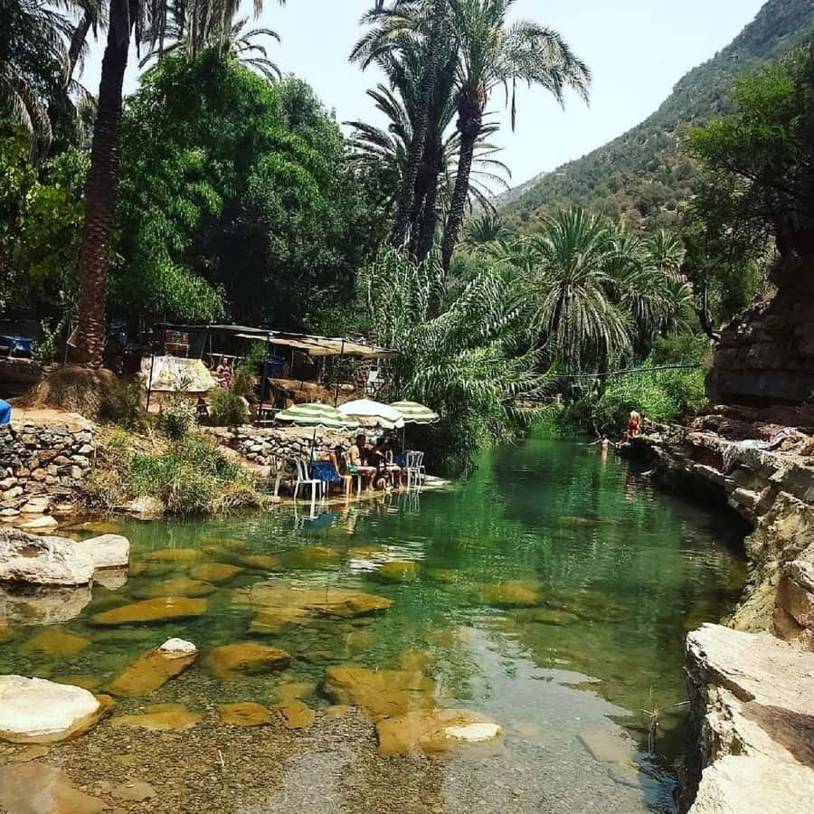 Agadir :Half day Paradise Valley & Atlas Mountains Tour - Swimming in the natural pools