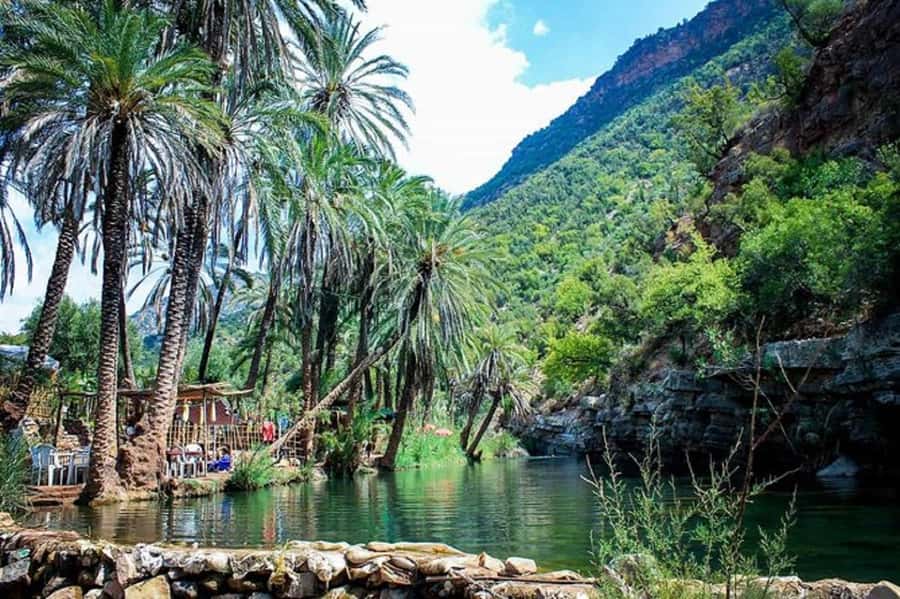 Agadir :Half day Paradise Valley & Atlas Mountains Tour - Should you book the Paradise Valley tour?
