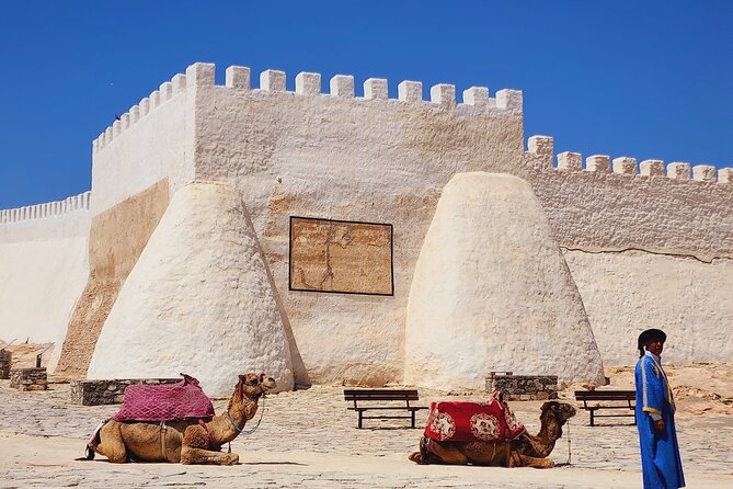 Agadir Half-Day Tour - Marina D’Agadir and the modern resort city