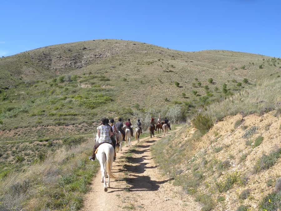 Agadir Horse Riding visite the flamingo river with tea drink - Horse care and what to look for