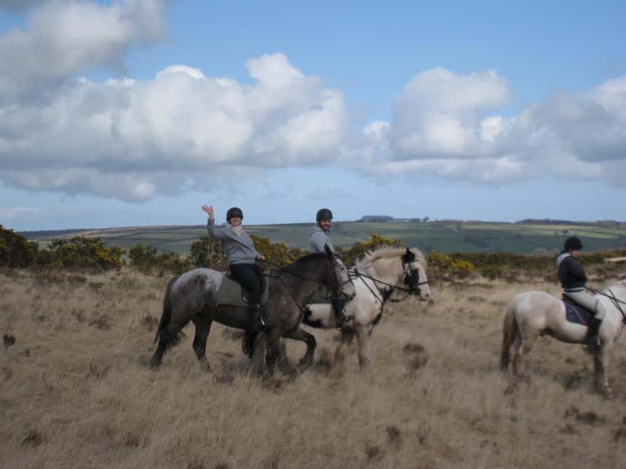 Agadir Horse Riding visite the flamingo river with tea drink - From dunes to eucalyptus forest and beach