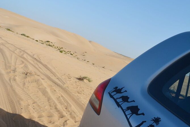 Agadir Jeep Safari Desert Day Trip including Lunch & camel ride - The short camel ride: what to expect