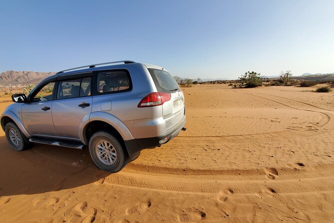 Agadir Jeep Safari Desert Day Trip including Lunch & camel ride - The Sous River and its birdlife