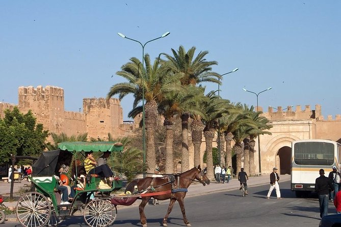 Agadir Morocco: Day Trip To Taroudant & Tiout Oasis with Lunch - Who should book this experience