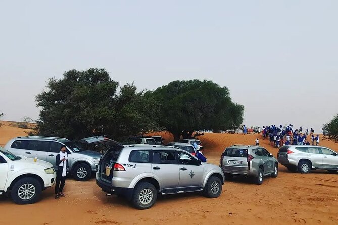 Agadir or taghazout : 4×4 Jeep Sahara Desert Trip with Lunch - Who will enjoy this tour most