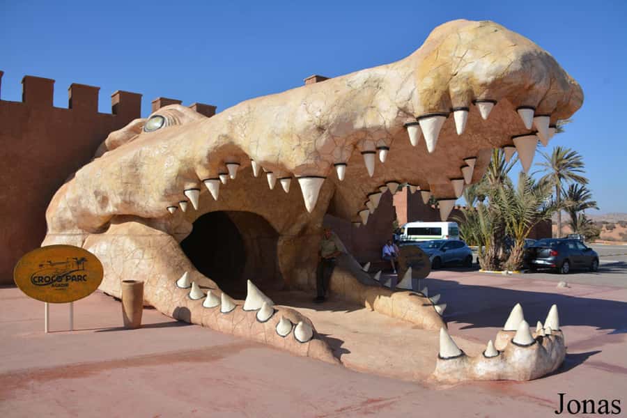 Agadir or Taghazout: Goat on Trees and Crocoparc with Pickup - How the timing works