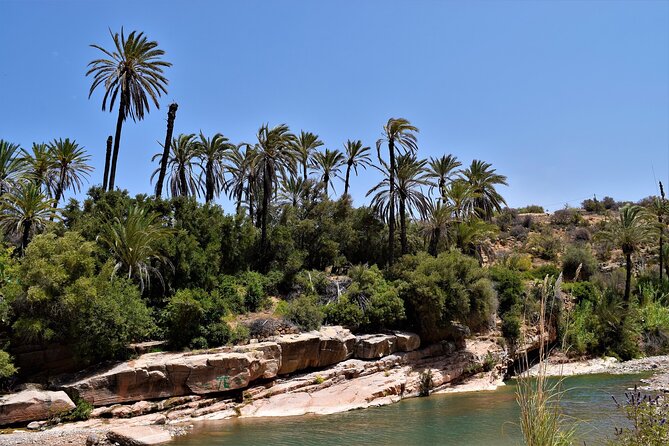 Agadir or Taghazout: Paradise Valley Atlas Mountain Swimming Trip - From Agadir to the Atlas foothills