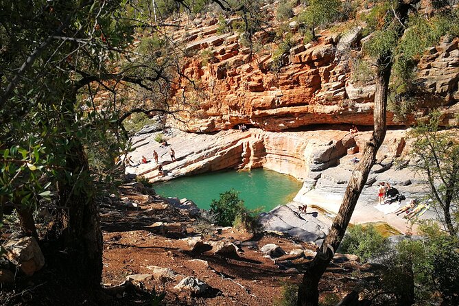Agadir or Taghazout: Paradise Valley Atlas Mountain Swimming Trip - What Ahmed and Houssin add to the day